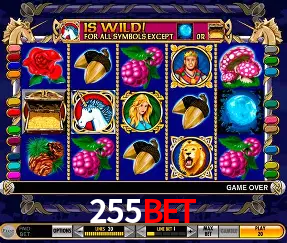 Roulette Table 255BET